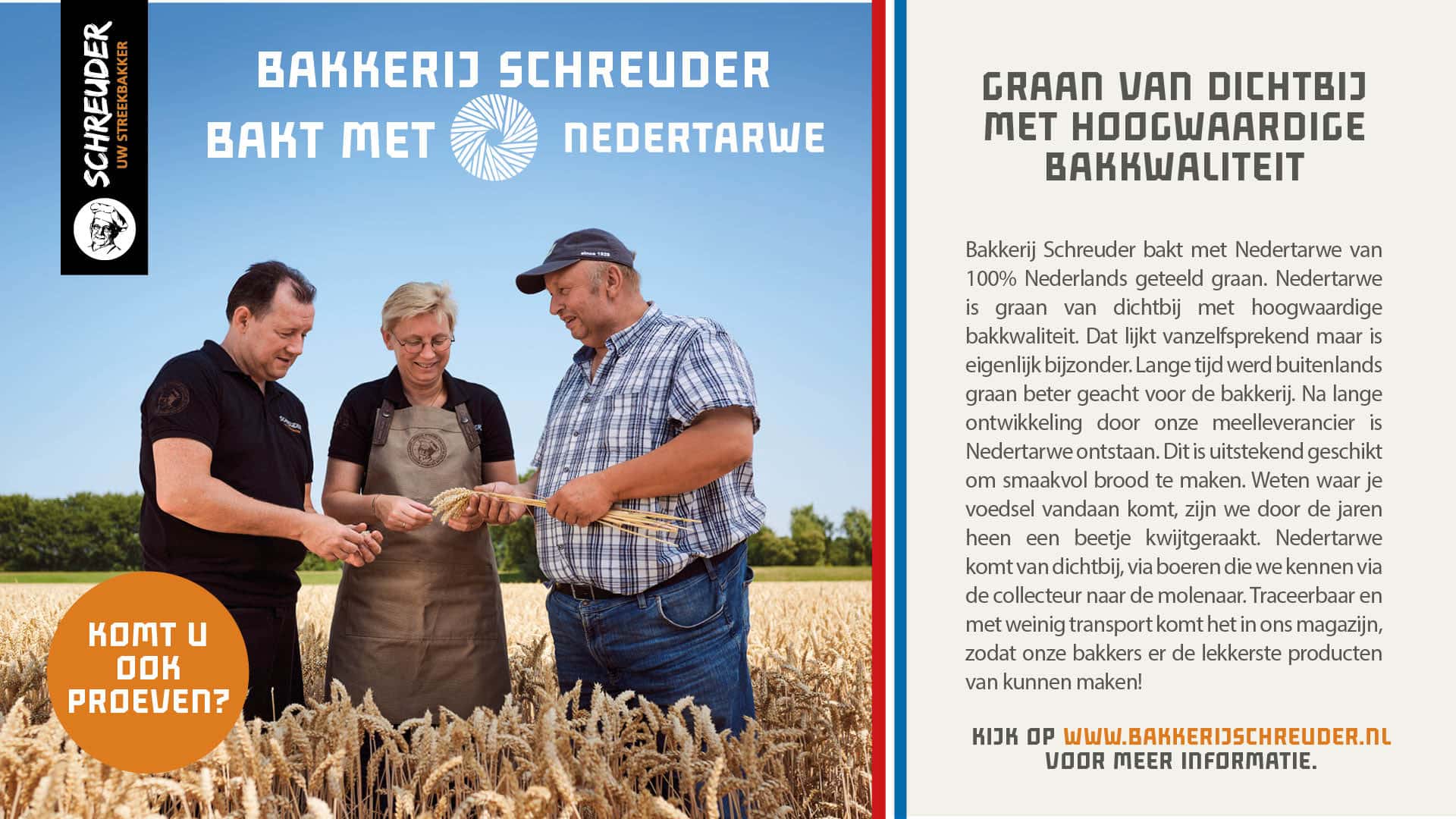 3 mensen in een veld met tarwe die de kwaliteit van de tarwe keuren.